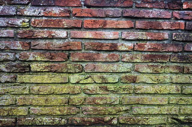 Mold again and again